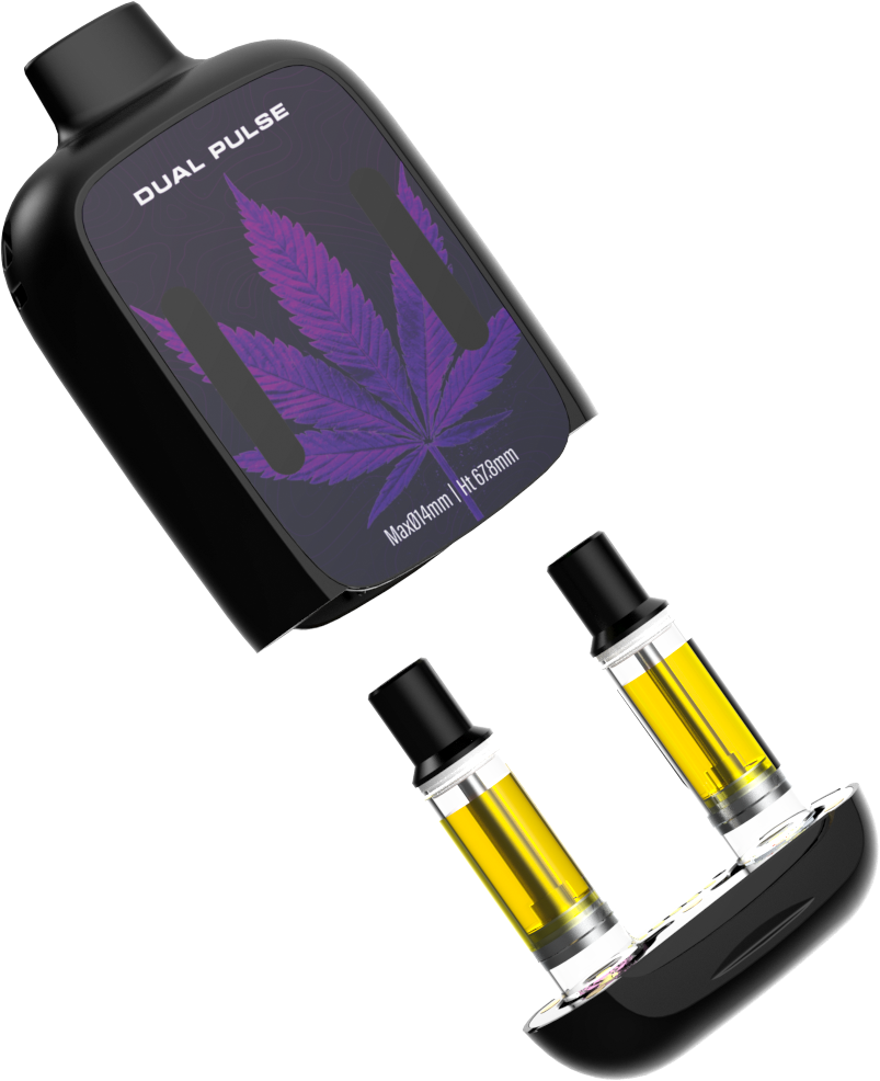 DUAL PULSE -3