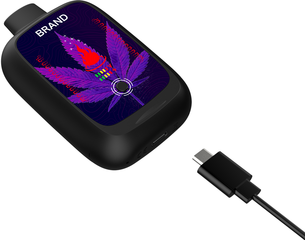 DUAL PULSE-RECHARGEABLE