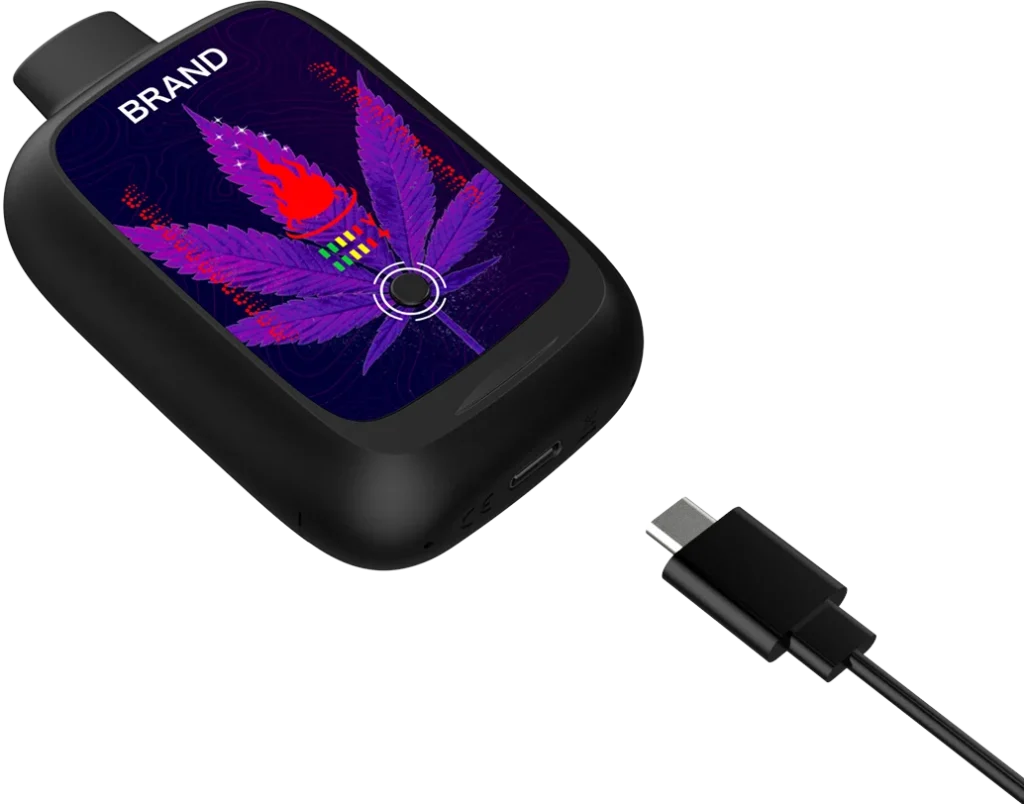 DUAL-PULSE-RECHARGEABLE-1